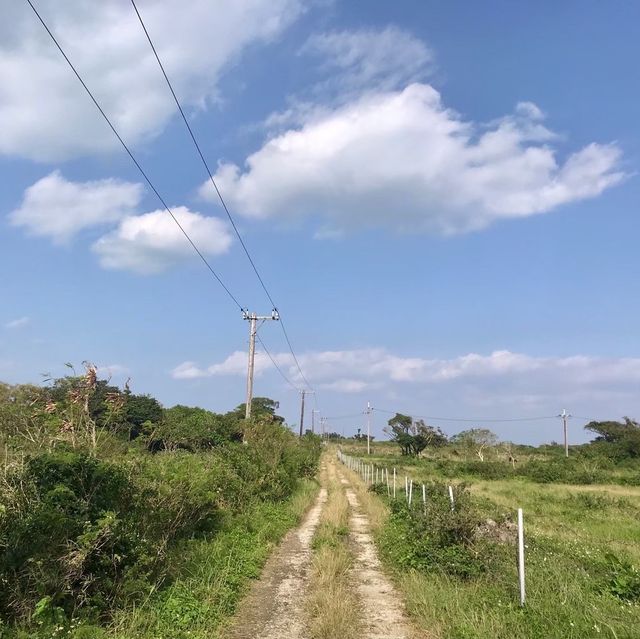 【沖縄 竹富島】海につながる橋