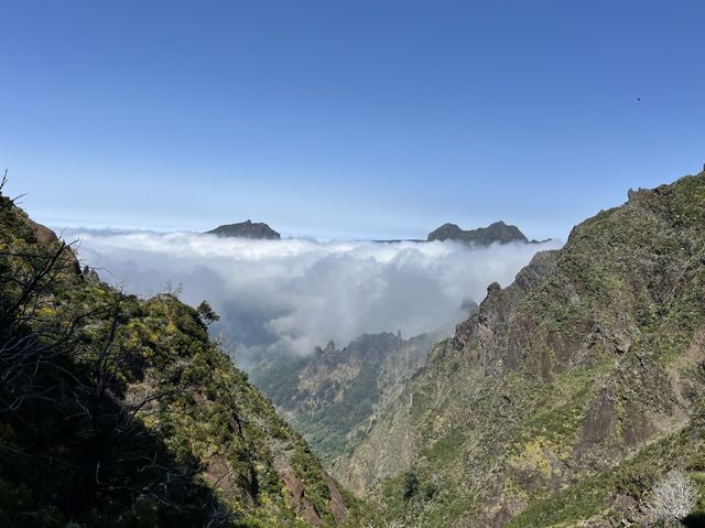 葡萄牙外島-Madeira上山下海之旅