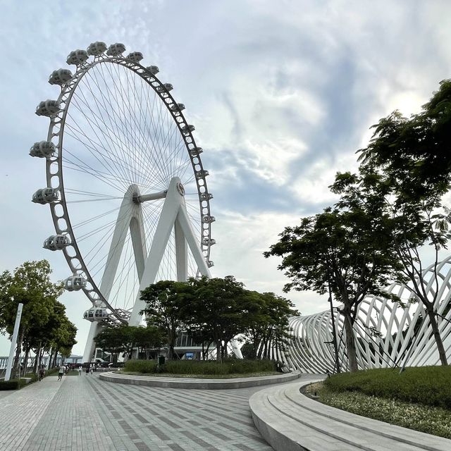 摩天輪🎡靚草地🌿大商場🛍️深圳慢活一日遊真開心