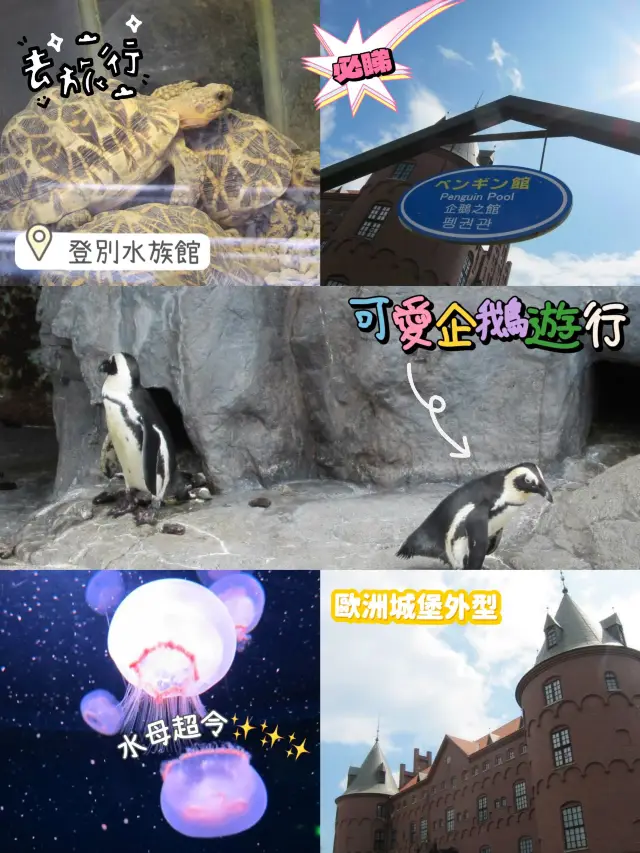 登別水族館🫶🏻北海道親子遊景點😌企鵝🐧巡遊表演超特別