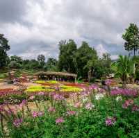 สวนแม่ฟ้าหลวง