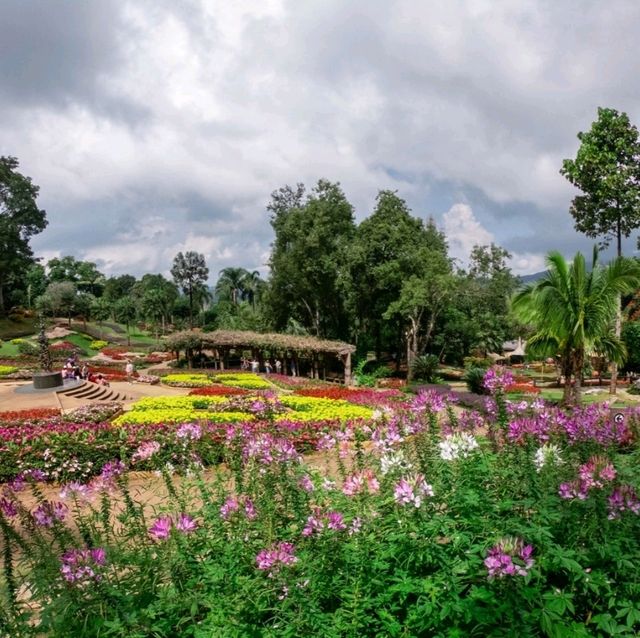 สวนแม่ฟ้าหลวง