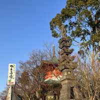 ~福岡 如意輪寺 かえる寺~夏の風物詩🎐
