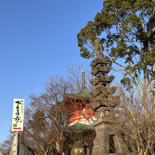 ~福岡 如意輪寺 かえる寺~夏の風物詩🎐