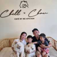 Just Chilling With Chow Chows 🐶
