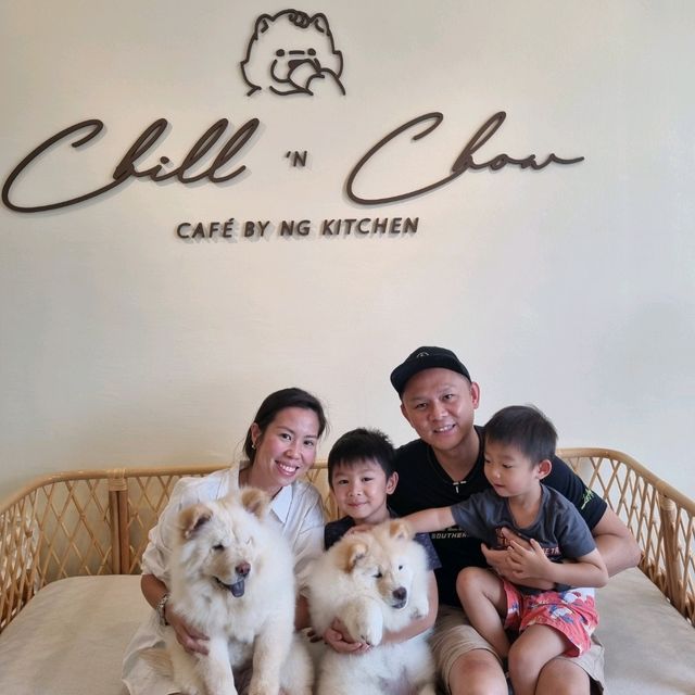 Just Chilling With Chow Chows 🐶