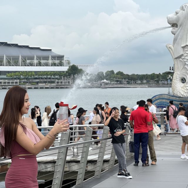 Discovering the Hidden Merlions