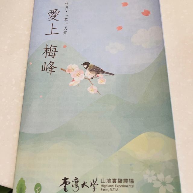 台大山地農場（全台灣最大的迷宮）