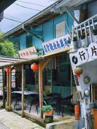 [嘉義] 百年老街特色美食 森林鐵路小火車-奮起湖