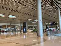 Changi Airport Terminal 4
