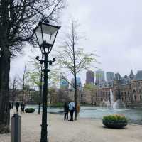 荷蘭🇳🇱海牙The Hague (Den Haag)🚶🏻‍♀️🚶🏿🚶🏻‍♂️ Hofvijver 散步看風景
