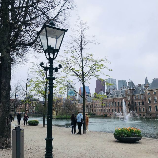 荷蘭🇳🇱海牙The Hague (Den Haag)🚶🏻‍♀️🚶🏿🚶🏻‍♂️ Hofvijver 散步看風景