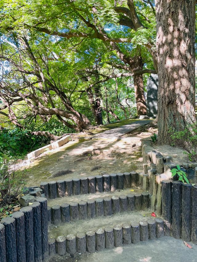 【神奈川県/日野俊基の墓】鎌倉で史跡めぐり
