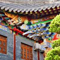 🏯🌸 西山寺～迷人寺廟仙境！🌿🔔🌸