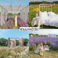 💚🌳 แพลนเที่ยวเชียงใหม่กับ 19 พิกัดเช็คอินสุดฮิต