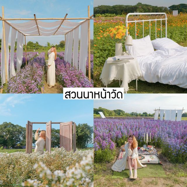 💚🌳 แพลนเที่ยวเชียงใหม่กับ 19 พิกัดเช็คอินสุดฮิต
