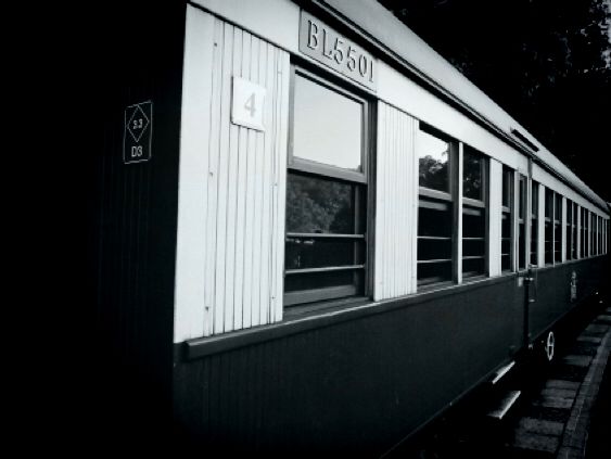 🚂開恩茲庫蘭達觀光火車：百年列車，穿梭雨林🚂