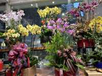 Colourful Flowers for Chinese New Year