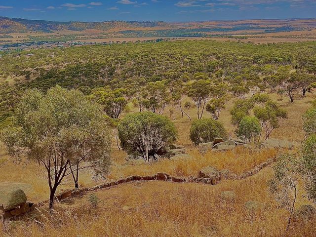 Mt Brown Lookout🏚️😎🤠📸Wongborel🤓