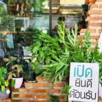 _Treeluxx Cafe' _