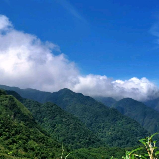 山裡雲間陽明山二子坪步道