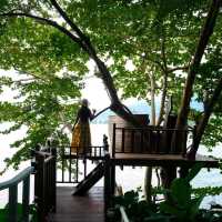 Treepod 