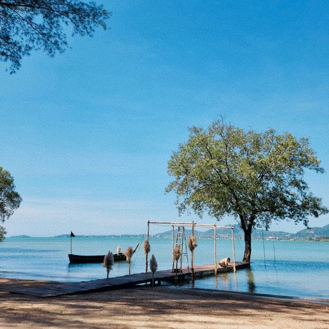 พักใจที่ภูเก็ต : The mangrove by blu monkey