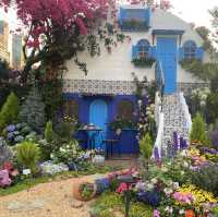 花卉展—18區花卉園景爭艶