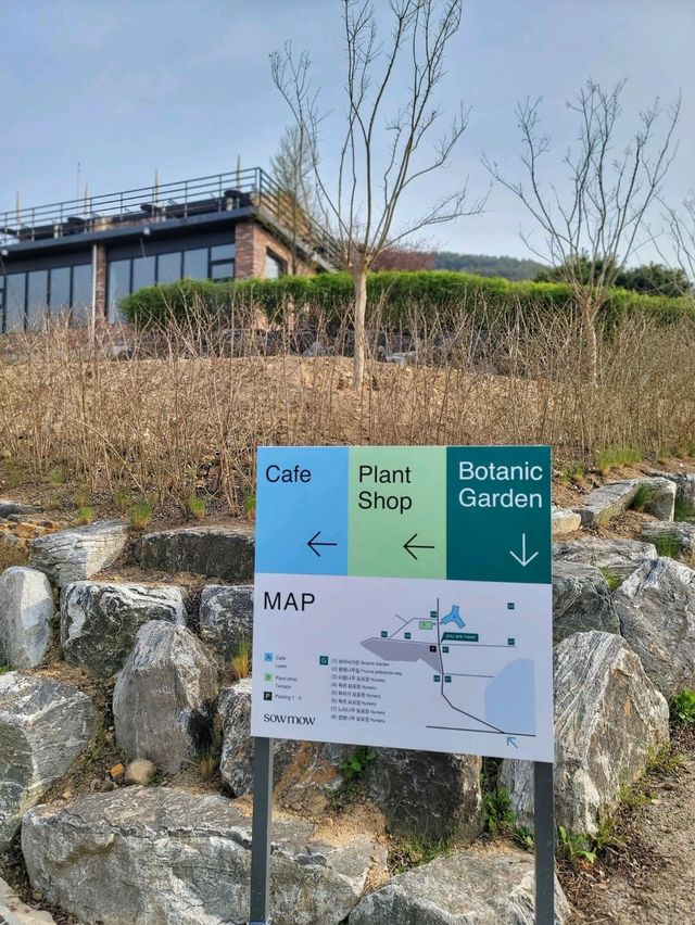 3월초 오픈한 역대급 통창뷰 청도 신상카페🌳☕️