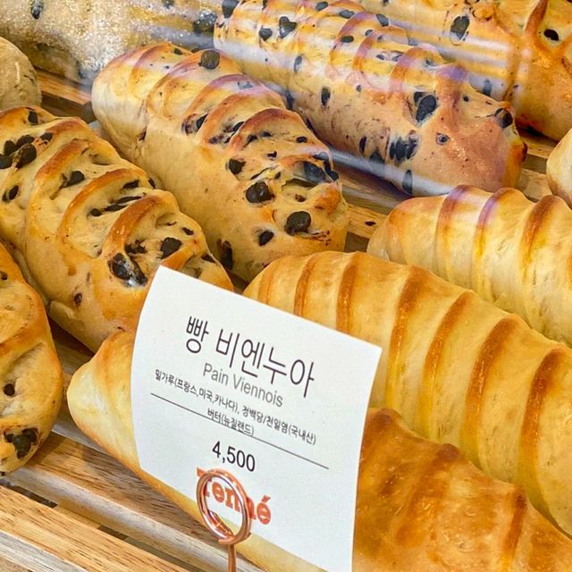 성수동, 반려견동반 브런치카페