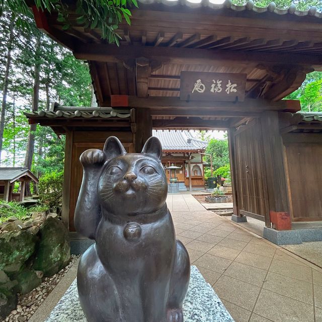【東京】豪徳寺の招き猫
