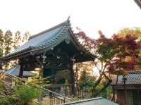 เที่ยวใบไม้เปลี่ยนสี เกียวโต วัดเอกันโดเซ็นริน ⛩️🍁