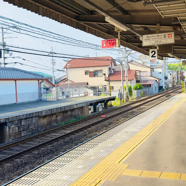I came back from Japan, feeding deer~~
