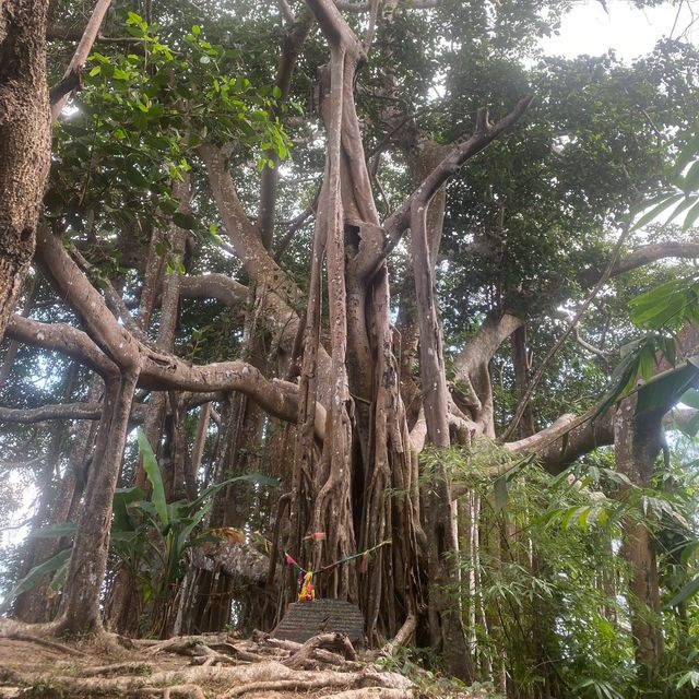 พิชิตยอดเขาหลวง⛰️