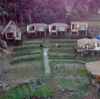 ดาวบนดิน" Camping 
