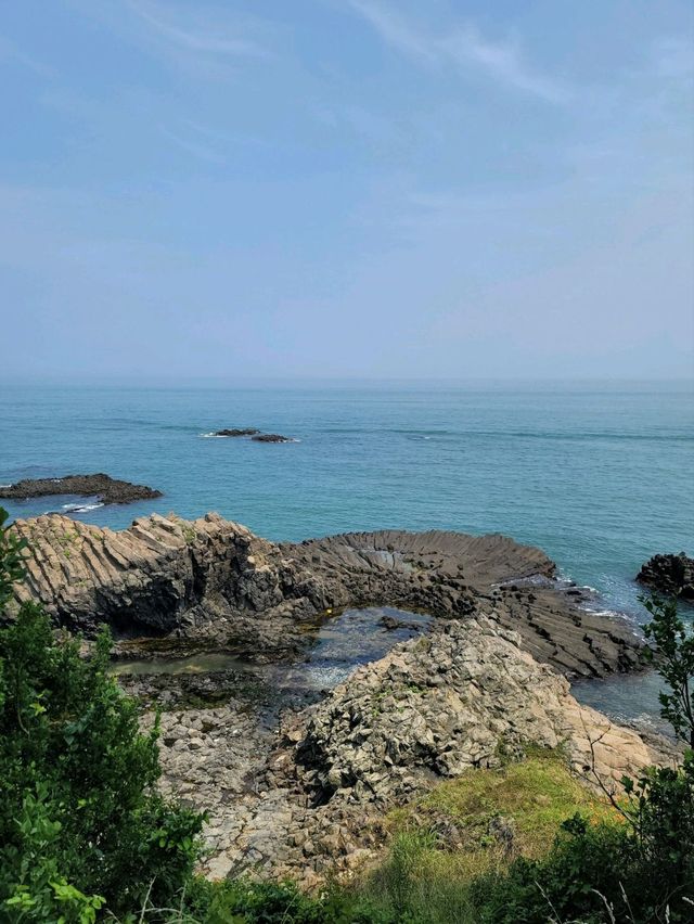 아름다운 바다위 그림같은 경주 양남 주상절리🪨🌊