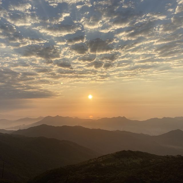 香港🇭🇰 ｜香港行山郊遊路線👣 - 大帽山日出之旅