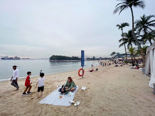 Picnic lunch with family