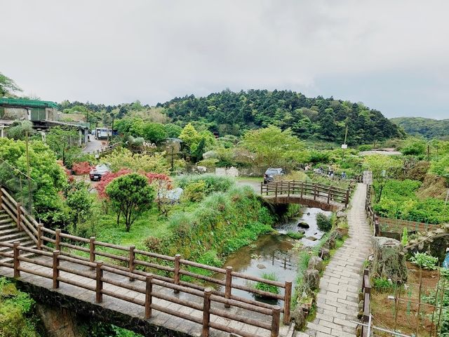 台北景點之一大屯火山