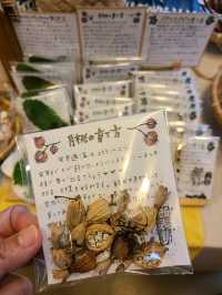 西表島の港をご紹介