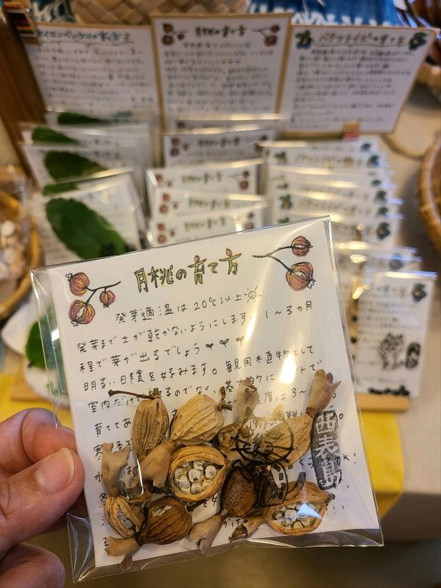 西表島の港をご紹介