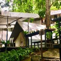 The Resort in the middle of the Jungle