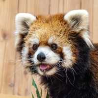 え！？無料の動物園！？