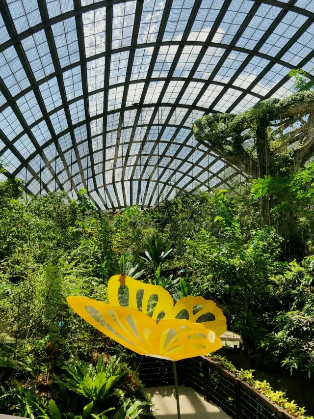 Exploring  largest butterfly park in Penang 