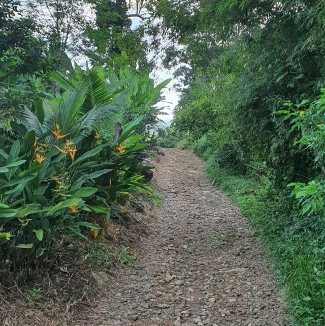 เขาหัวหมวก trekking ใกล้ กทม วิวสุดปัง