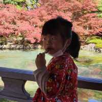 ฤดูใบไม้ผลิ 西山公園
