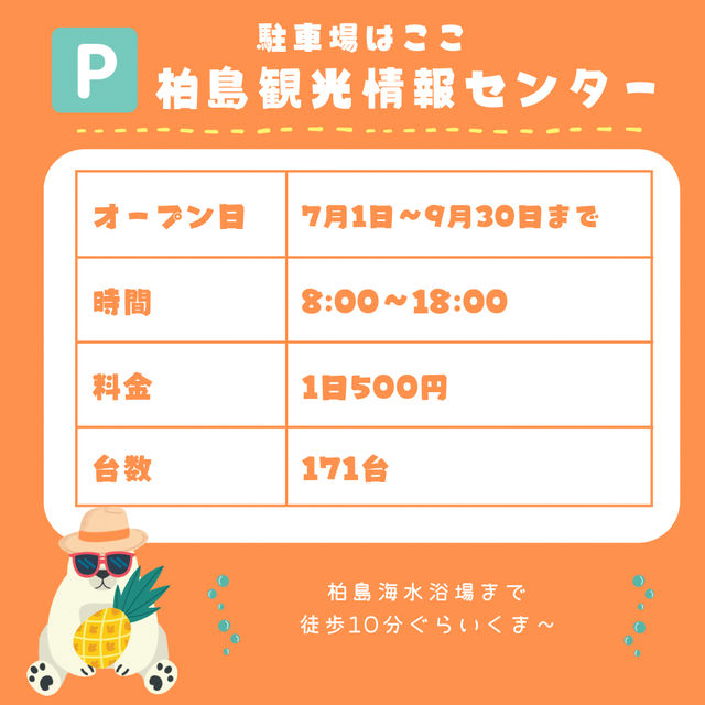 【高知・柏島】まるでカリブ海！絶景すぎる海