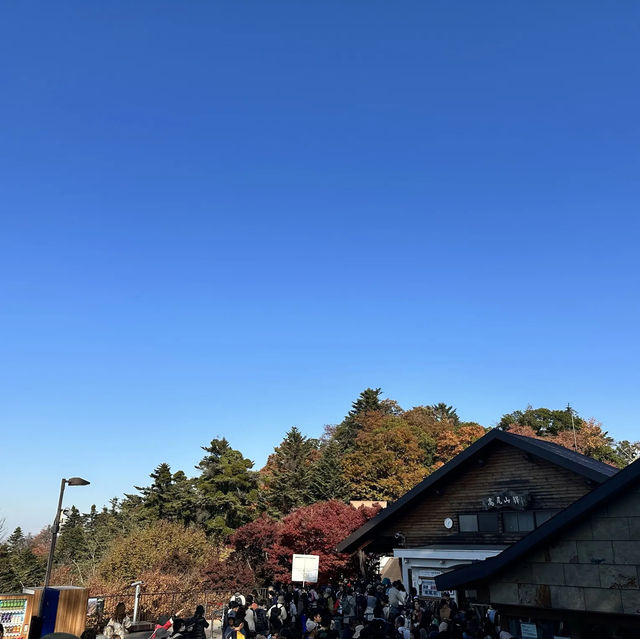 東京紅葉實況