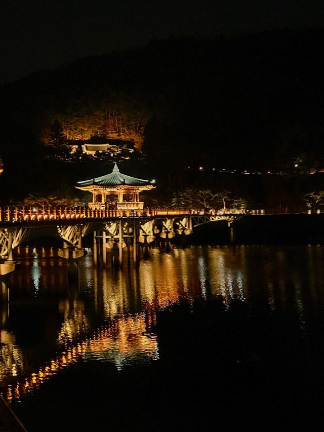 안동의 야경명소 월영교🌃✨