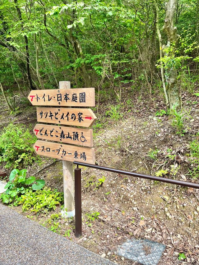 【愛知　名古屋】ジブリパークさっきとメイの家